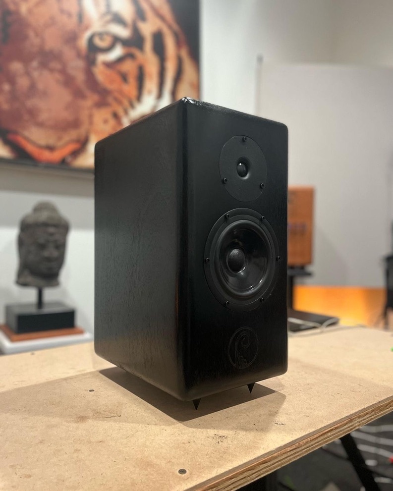 Custom Speakers