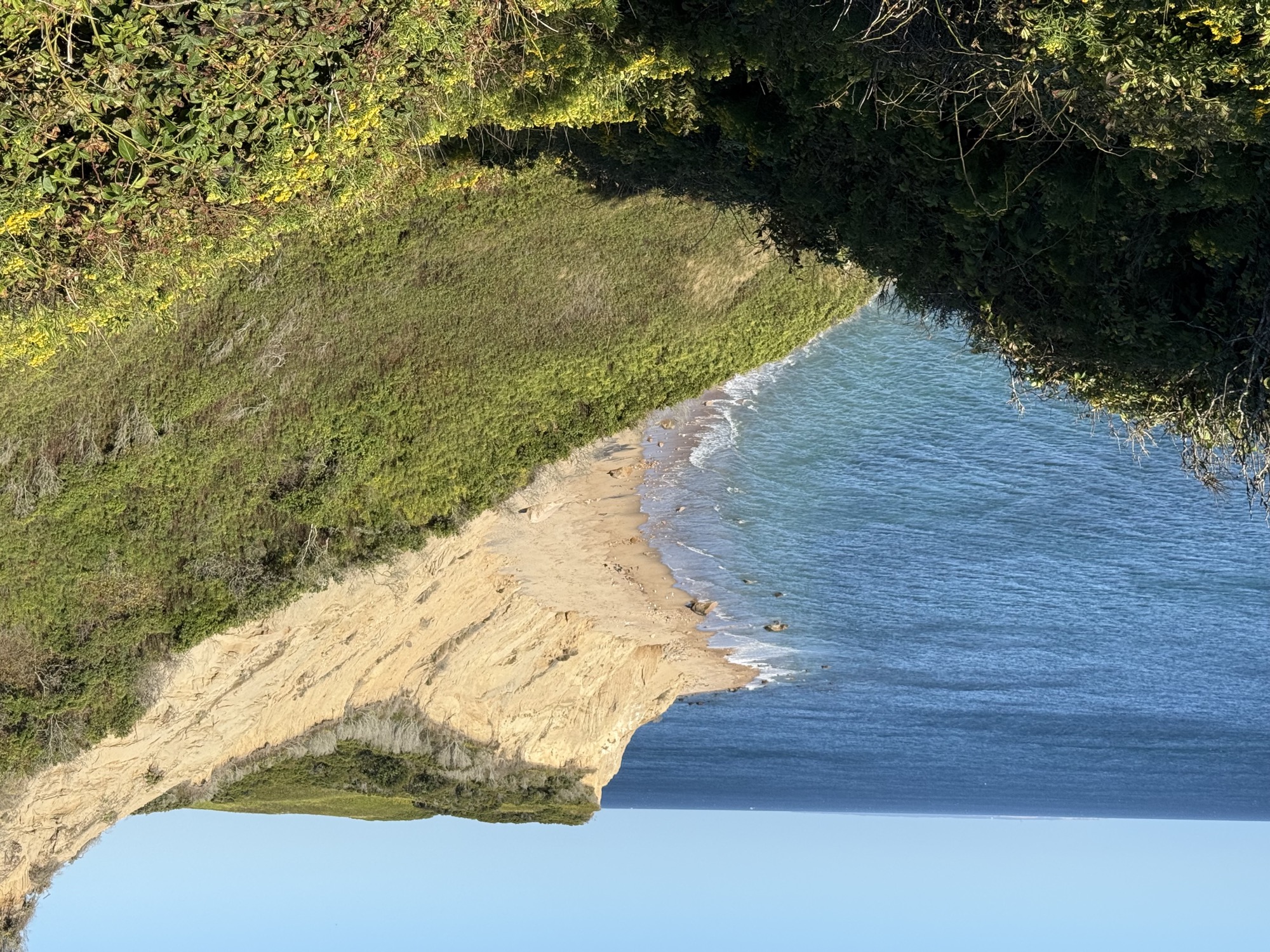 Mohegan Bluffs