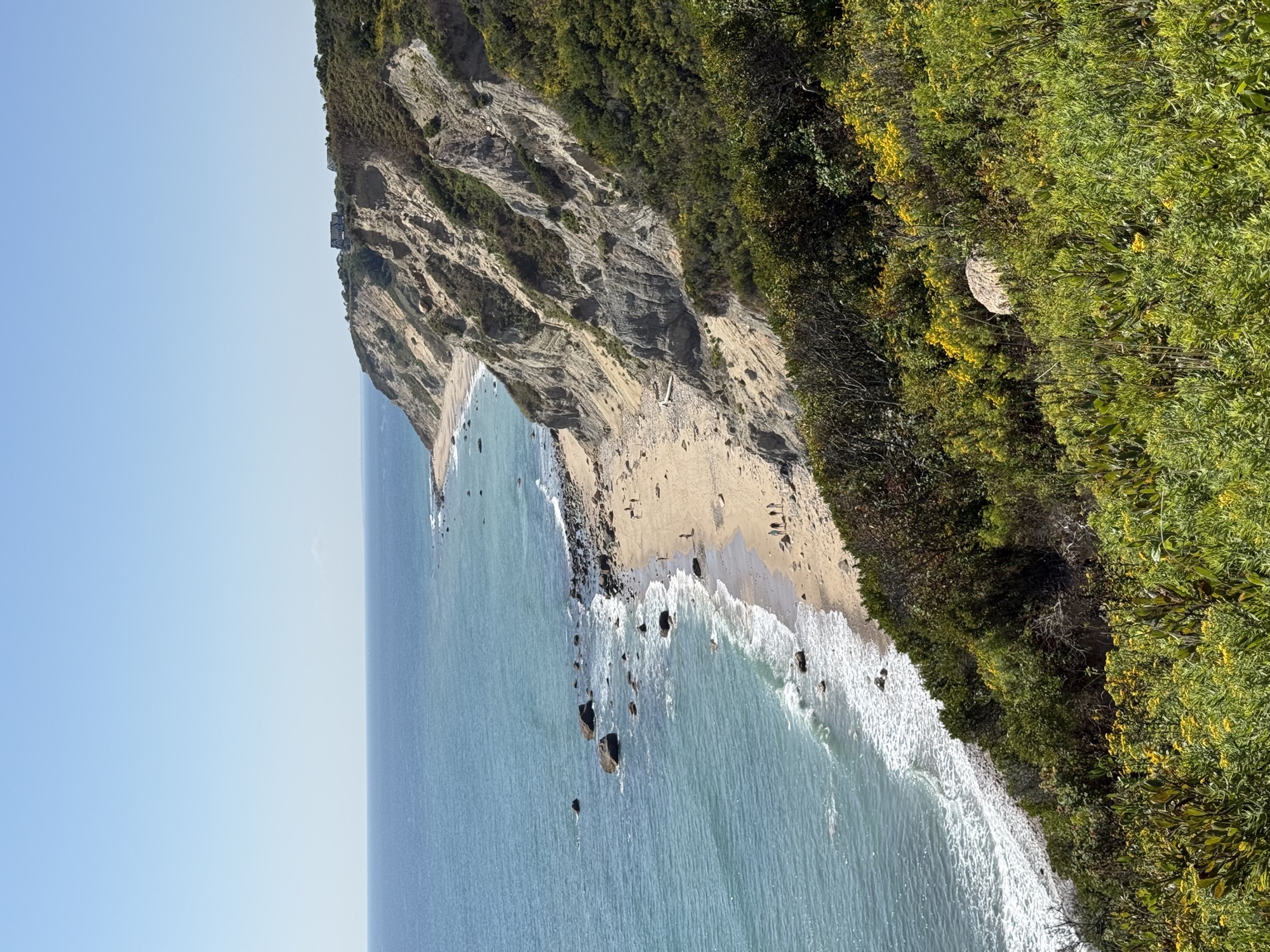 Mohegan Bluffs