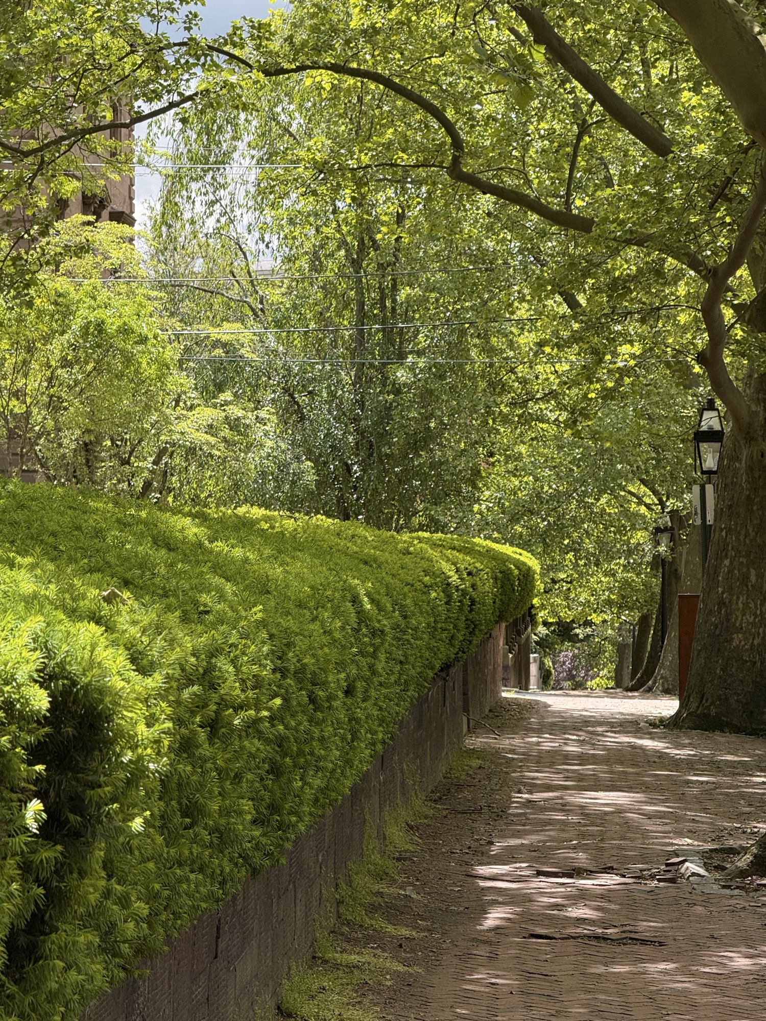 Benefit Street